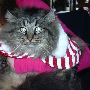 Meet your Posher, Brenda